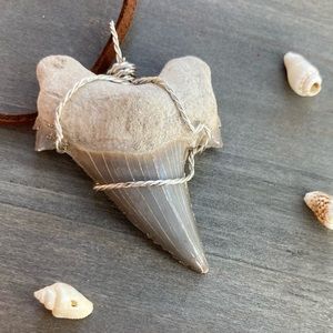 Shark tooth necklace